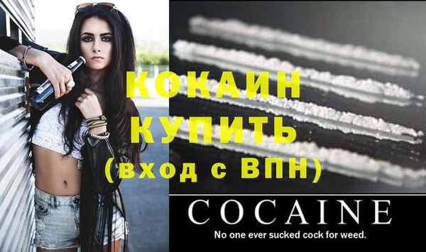 прущие крисы Арсеньев